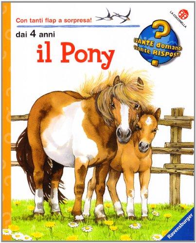 Il pony