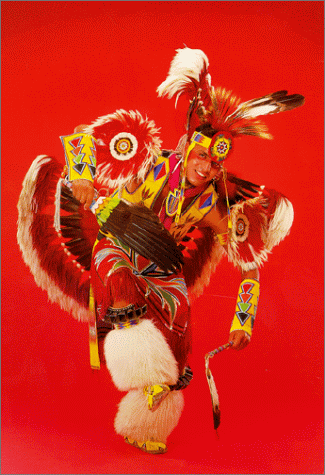 The Modern Fancy Dancer (Native American Dance Series)