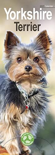 Yorkshire Terrier - Yorkies 2023: Original Avonside-Kalender - Slimline [Mehrsprachig] [Kalender] (Slimline-Kalender)