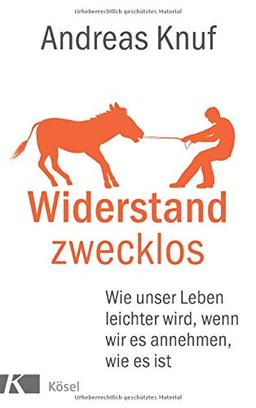 Widerstand zwecklos: Wie unser Leben leichter wird, wenn wir es annehmen, wie es ist