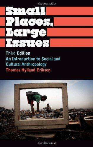 Small Places, Large Issues Third Edition: An Introduction to Social and Cultural Anthropology (Anthropology, Culture and Society)