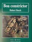 Boa constrictor