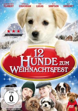 12 Hunde zum Weihnachtsfest