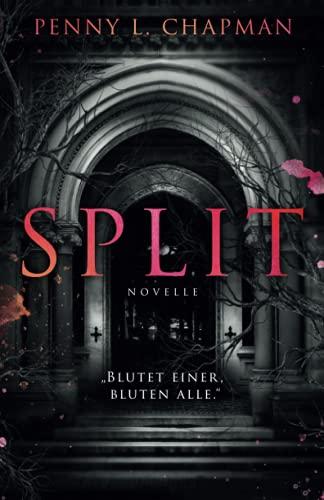 Split: Eine Unfolding Novelle