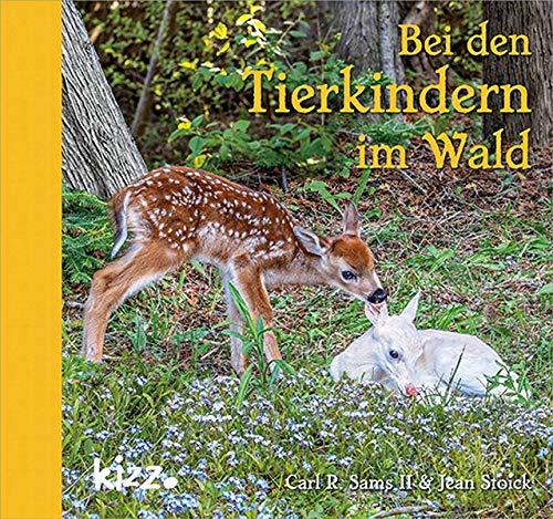 Bei den Tierkindern im Wald