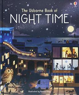 The Usborne Book of Night Time