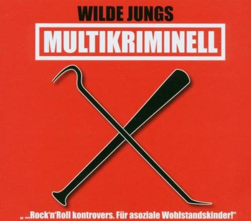 Multikriminell