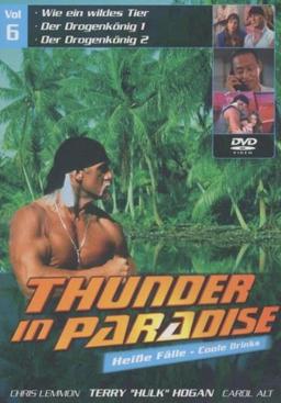 Thunder in Paradise: Heiße Fälle - Coole Drinks, Vol. 06