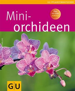 Mini-Orchideen (Pflanzenratgeber)