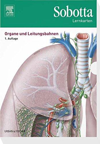 Sobotta Lernkarten Organe und Leitungsbahnen