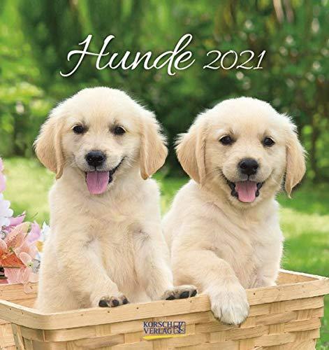 Hunde 2021: aufstellbarer Postkartenkalender