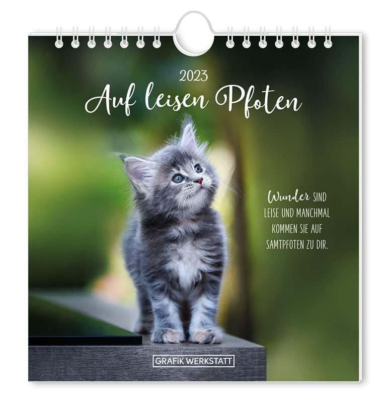 Postkartenkalender 2023 "Auf leisen Pfoten": Postkartenkalender