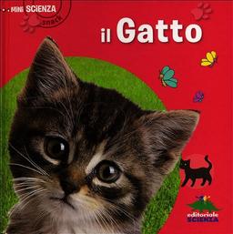 Il gatto