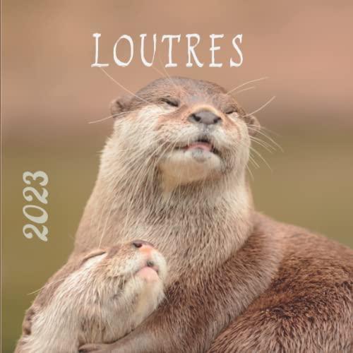 LOUTRES: Calendrier Loutres Animaux Mignons