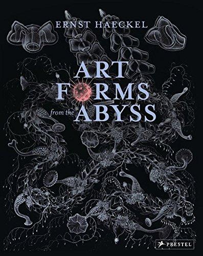 Art Forms from the Abyss: Ernst Haeckel's Images from the HMS Challenger Expedition