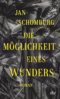 Die Möglichkeit eines Wunders: Roman