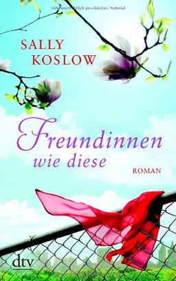 Freundinnen wie diese: Roman