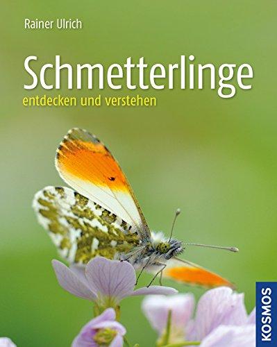 Schmetterlinge: entdecken und verstehen