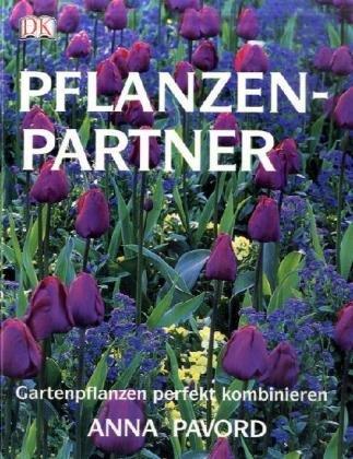 Pflanzenpartner: Gartenpflanzen perfekt kombinieren