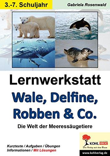 Lernwerkstatt Wale, Delfine, Robben & Co.