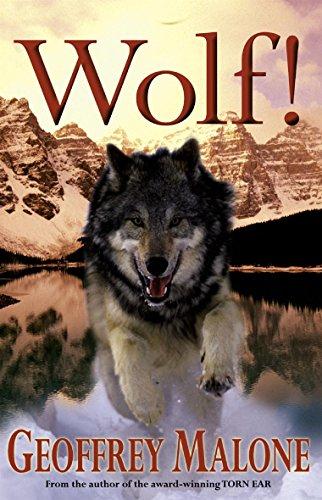 Wolf (Stories from the Wild, Band 6)