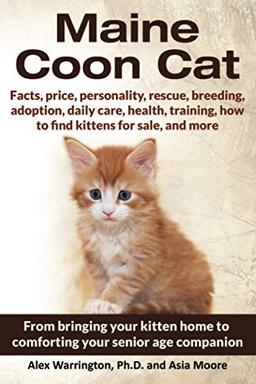 Maine Coon Cat: From bringing your kitten home to comforting your senior age companion: Your Ultimate Guide to Maine Coon Care