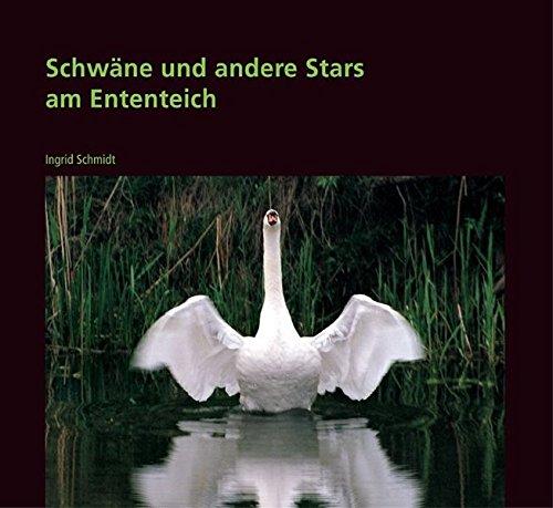 Schwäne und andere Stars am Ententeich: Lustiges und Wissenswertes über unsere Nachbarn im Park