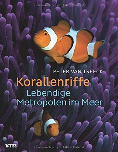 Korallenriffe: Lebendige Metropolen im Meer