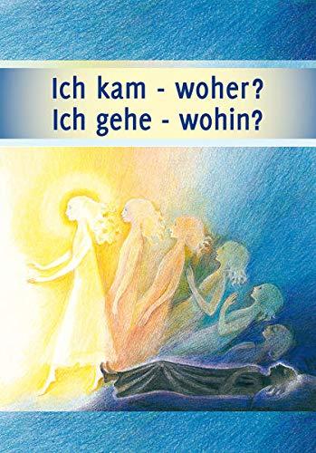 Ich kam - woher? Ich gehe - wohin?: Leben nach dem Tod, die Reise deiner Seele