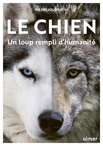 Le chien : un loup rempli d'humanité