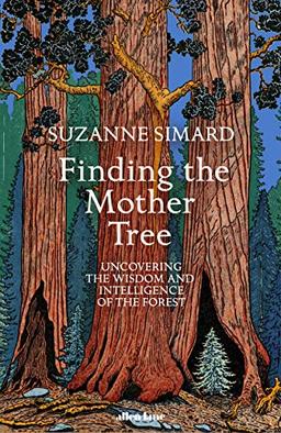 Finding the Mother Tree: Uncovering the Wisdom and Intelligence of the Forest