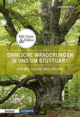 Sinnliche Wanderungen in Stuttgart und Umgebung: Auf den Spuren alter Bäume