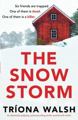 The Snowstorm: An absolutely gripping, pulse-pounding thriller packed with twists