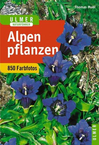 Alpenpflanzen