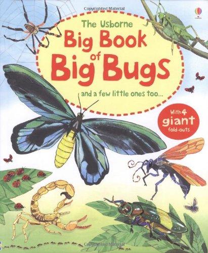 Big Book of Big Bugs (Big Books of Big Things)