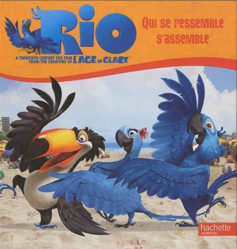 Rio : qui se ressemble s'assemble