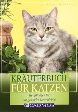 Kräuterbuch für Katzen: Heilpflanzen für ein gesundes Katzenleben