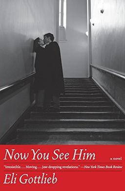 Now You See Him: A Novel (P.S)