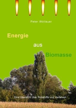 Energie aus Biomasse: Eine Übersicht über Rohstoffe und Verfahren