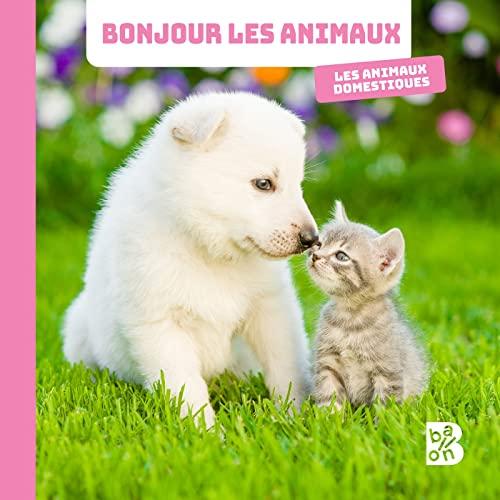 Les animaux domestiques