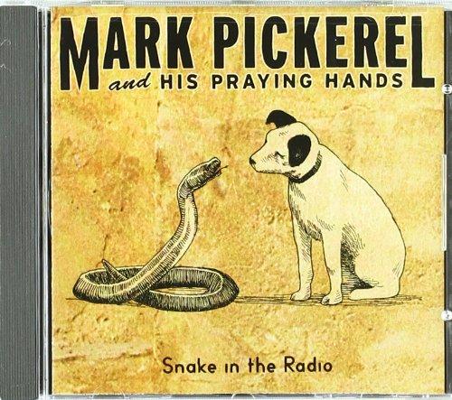 Snake in the Radio