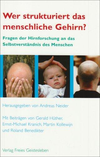 Wer strukturiert das menschliche Gehirn?: Fragen der Hirnforschung an das Selbstverständnis des Menschen