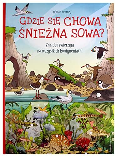 Gdzie sie chowa sniezna sowa? Znajduj zwierzeta na wszystkich kontynentach