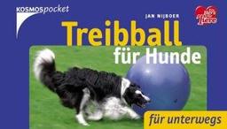 Treibball für Hunde