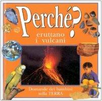 Perché eruttano i vulcani? Le domande dei bambini sulla terra (Gioco scuola, Band 9)