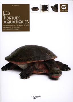 Les tortues aquatiques