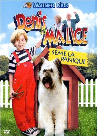 Denis la malice sème la panique [FR Import]