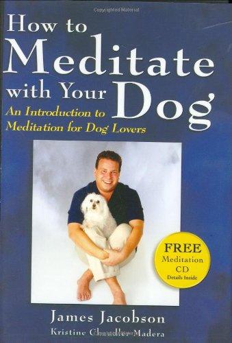 How to Meditate with Your Dog: An Introduction to Meditation for Dog Lovers