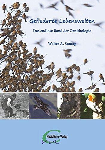 Gefiederte Lebenswelten: Das endlose Band der Ornithologie