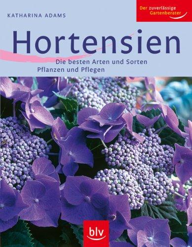 Hortensien: Die besten Arten und Sorten Pflanzen und Pflegen